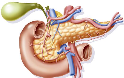 死亡率高达70％的胰腺炎，医生提醒：有这3种现象的人尤为